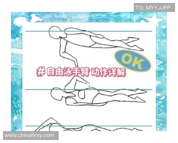 提升自由泳技术与体能的全面训练方案与技巧解析