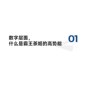 半岛综合体育APP全站霸王茶姬：征象级的用户体验与出海新航程